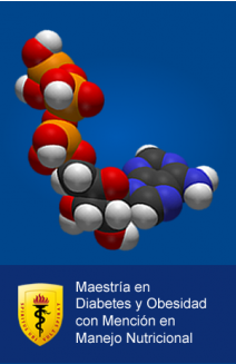 2017-I CUOTA 3 - MAESTRIA INTERNACIONAL DIABETES Y OBESIDAD MENCION EN MANEJO NUTRICIONAL - NACIONAL